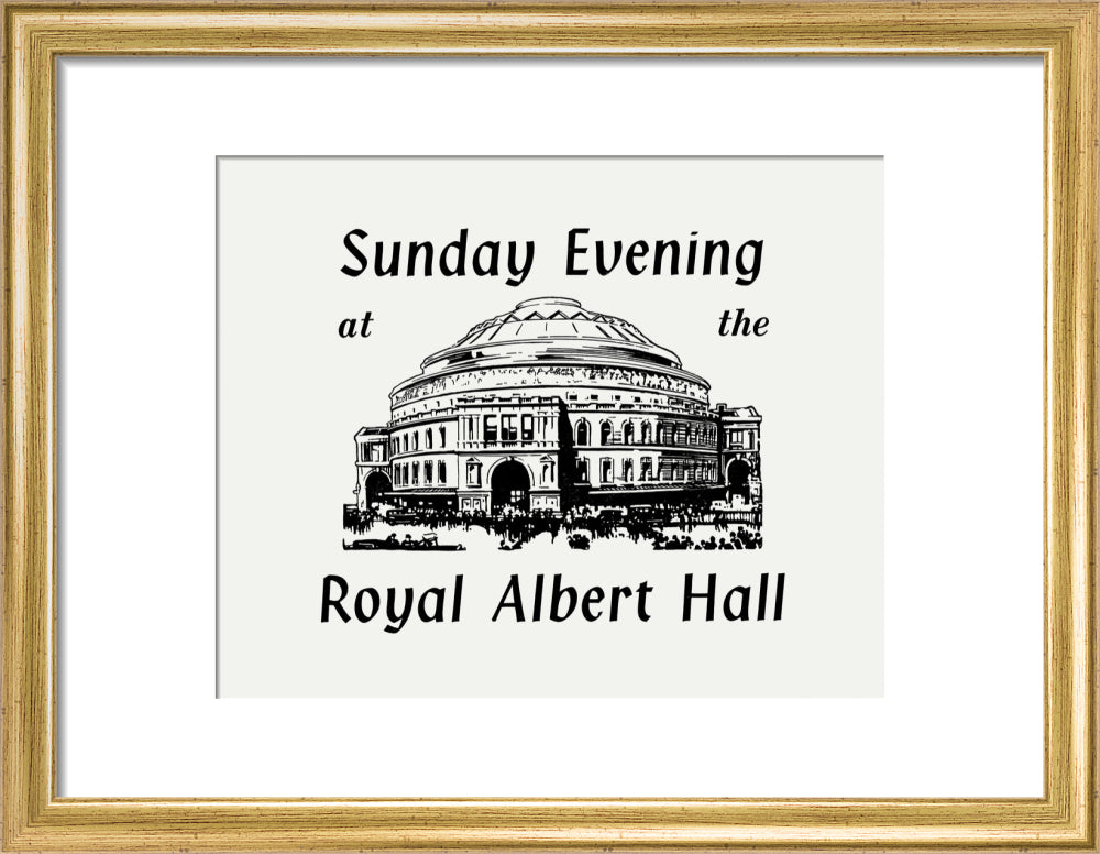 Royal Philharmonic Orchestra Concert Art Print