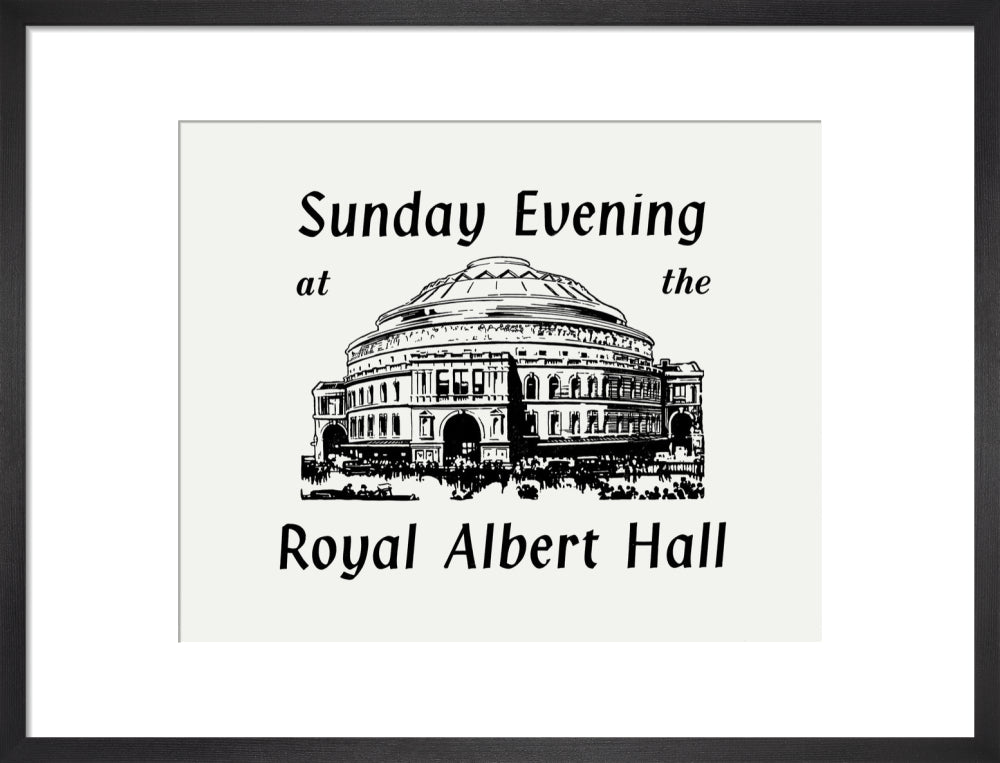 Royal Philharmonic Orchestra Concert Art Print