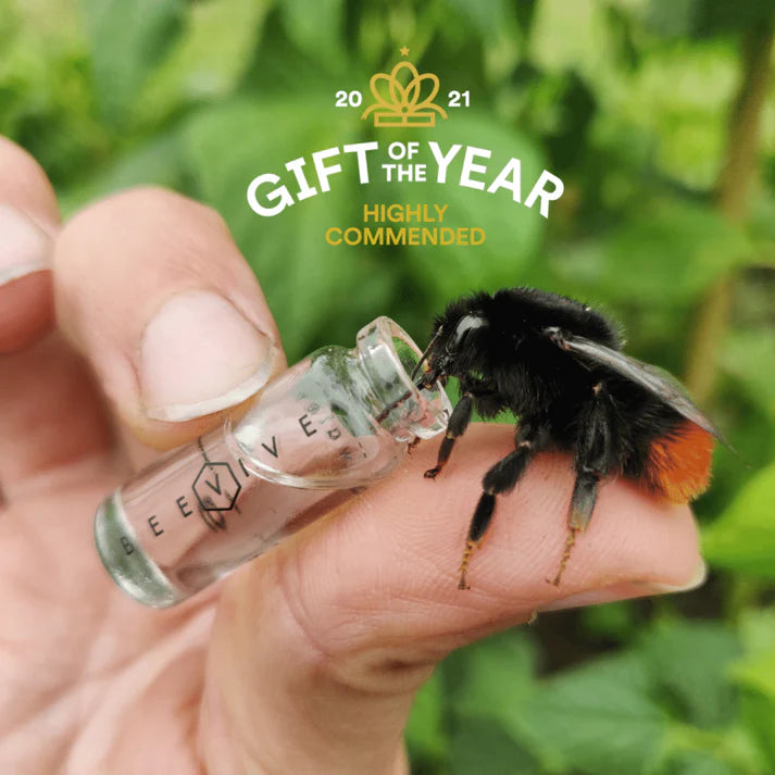 Bee Revival Keyring