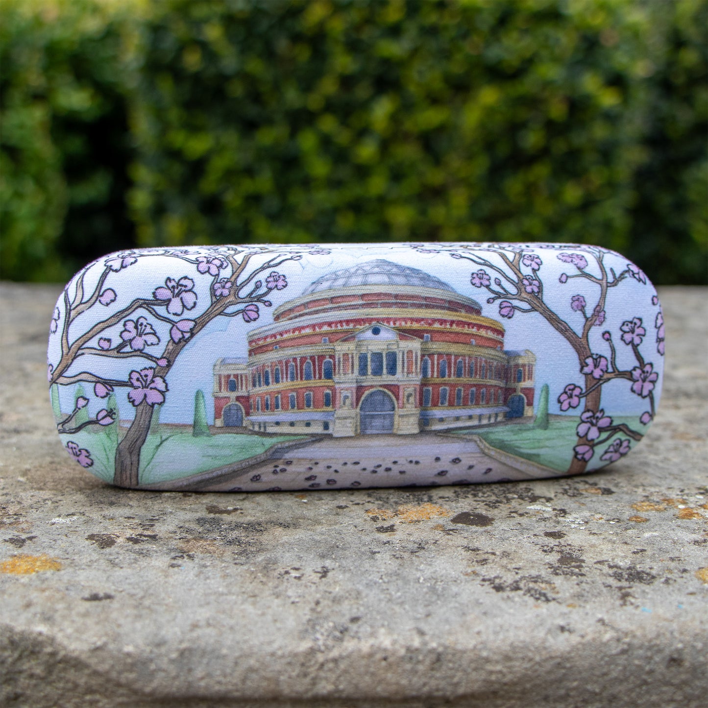 Blossoms Outside the Hall Glasses Case