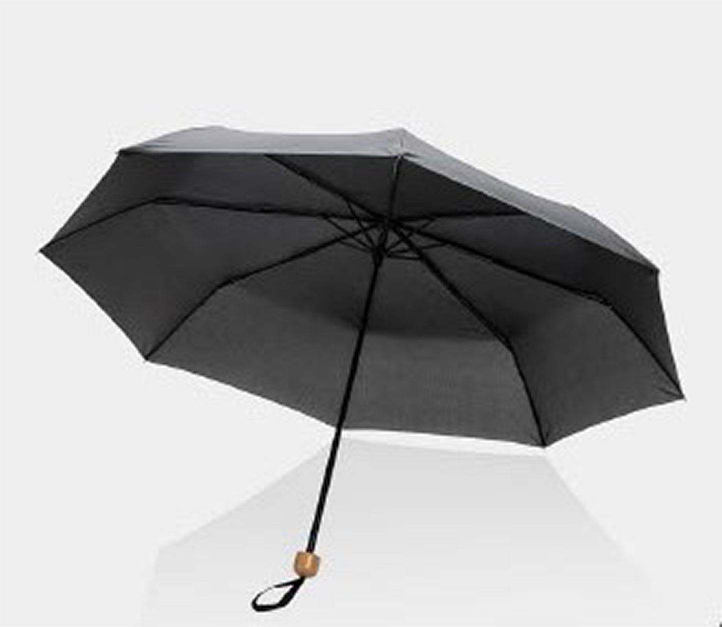 Royal Albert Hall Umbrella