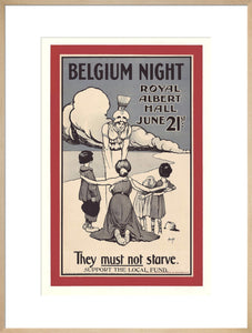 Belgian Independence Day Concert Art Print