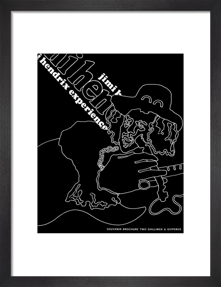 The Jimi Hendrix Experience Art Print