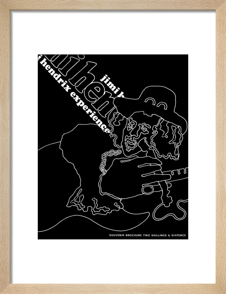 The Jimi Hendrix Experience Art Print
